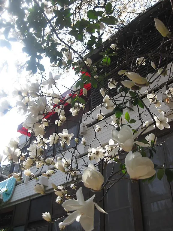 Guest house Icos Guesthouse 2 For Female Seoul