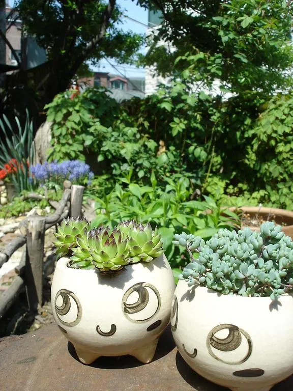 Icos Guesthouse 2 For Female Seoul Guest house
