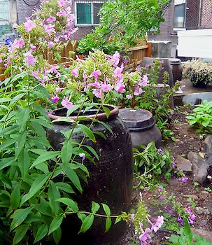 Icos Guesthouse 2 For Female Seoul Guest house