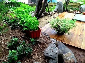 Icos Guesthouse 2 For Female Seoul Guest house